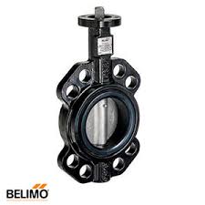 Картинки по запросу белку зажевало в диск