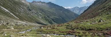Image result for Alpendistel