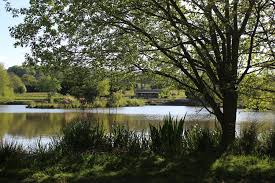 Image result for Cheadle Angling Club