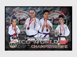 Image result for Swansea Taekwondo Club