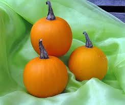 Attēlu rezultāti vaicājumam “Cucurbita pepo fruit”