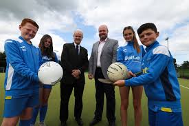 Image result for Carryduff Gaelic Athletic Club