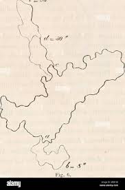 Attēlu rezultāti vaicājumam “Didymium serpula young”
