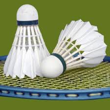 Image result for Felbridge Junior Badminton Club