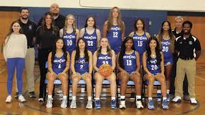 Image result for Elmbridge Girls Basketball Club