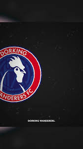 Image result for Dorking Wanderers F C