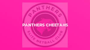 Image result for Ecs Predators Netball Club