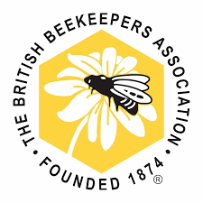 Image result for Boccia In Epsom & Ewell (Bees)