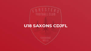 Image result for Oxted & District Junior Fc