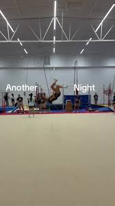 Image result for Arabian School Of Gymnastics, Milton Keynes