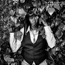 Attēlu rezultāti vaicājumam “Diderma montanum var. album young”