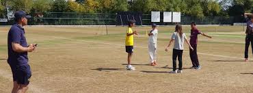 Image result for Carmarthen Wanderers Cricket Club
