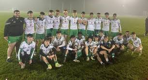 Image result for Wolfe Tones Gaelic Athletic Club