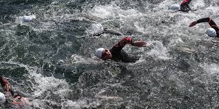 Image result for SwimSwansea