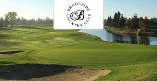 Image result for Brookside Badminton Club