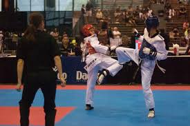 Image result for Quest Taekwondo
