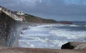 Image result for Dawlish Sc