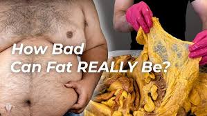 Image result for fat