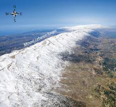 Attēlu rezultāti vaicājumam “Libanotis montana”