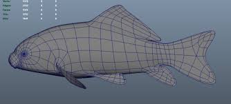 Image result for Ictiobus niger