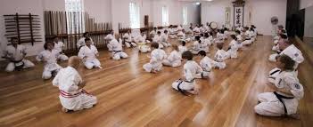 Image result for Jin Sei Kai Shotokan Karate