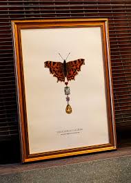 Attēlu rezultāti vaicājumam “Polygonia c-album”