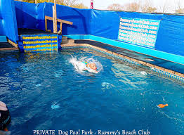 Image result for Hazel Grove & Bramhall Swimming Club