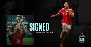 Image result for Gotham Soccer League