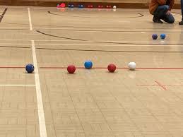 Image result for Boccia In Epsom & Ewell (Bees)