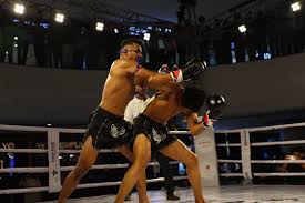 Image result for GFC Muay Thai Boxing