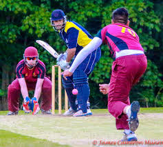 Image result for Ferguslie Cricket Club, Paisley