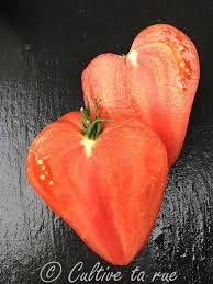 Afbeeldingsresultaat voor erdie family oxheart tomato