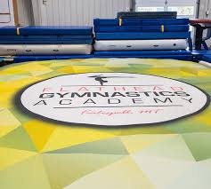 Image result for Dynamo Trampoline Academy