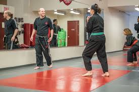 Image result for Guerrero Martial Arts