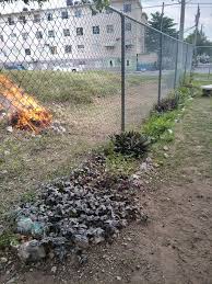 Image result for Calstock Smbc