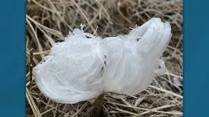 Attēlu rezultāti vaicājumam “Frost Flowers”