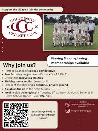 Image result for Chiddingly Cricket Club