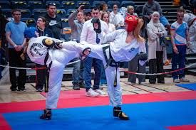 Image result for ENGLISH INTERNATIONAL ALLSTYLES TAEKWONDO