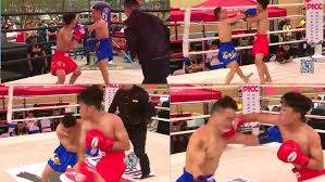Image result for Southgate T`ai Tsung Chinese Boxing