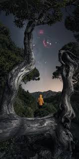 Kết quả hình ảnh cho hinh anh