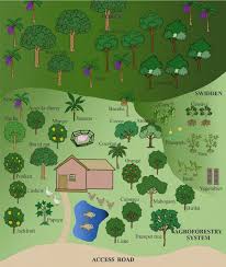 Image result for Wood Green A F S Association