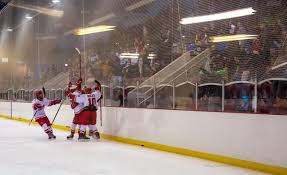 Image result for Streatham Redskins