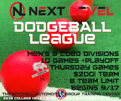 Image result for The Dodgeball Company