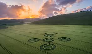 Image result for crop circles
