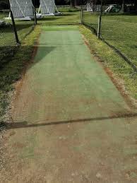 Image result for Chichester Priory Park Cc