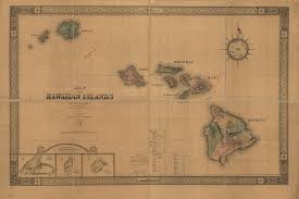 「VHAPUNI　MAO」の画像検索結果