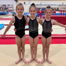 Image result for Carousel School Of Gymnastics