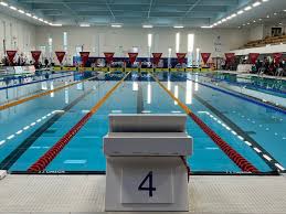 Image result for Cults Otters Amateur Swimming Club