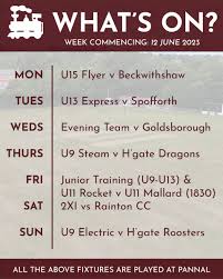 Image result for Pannal Cricket Club