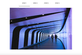 Image result for webgl examples